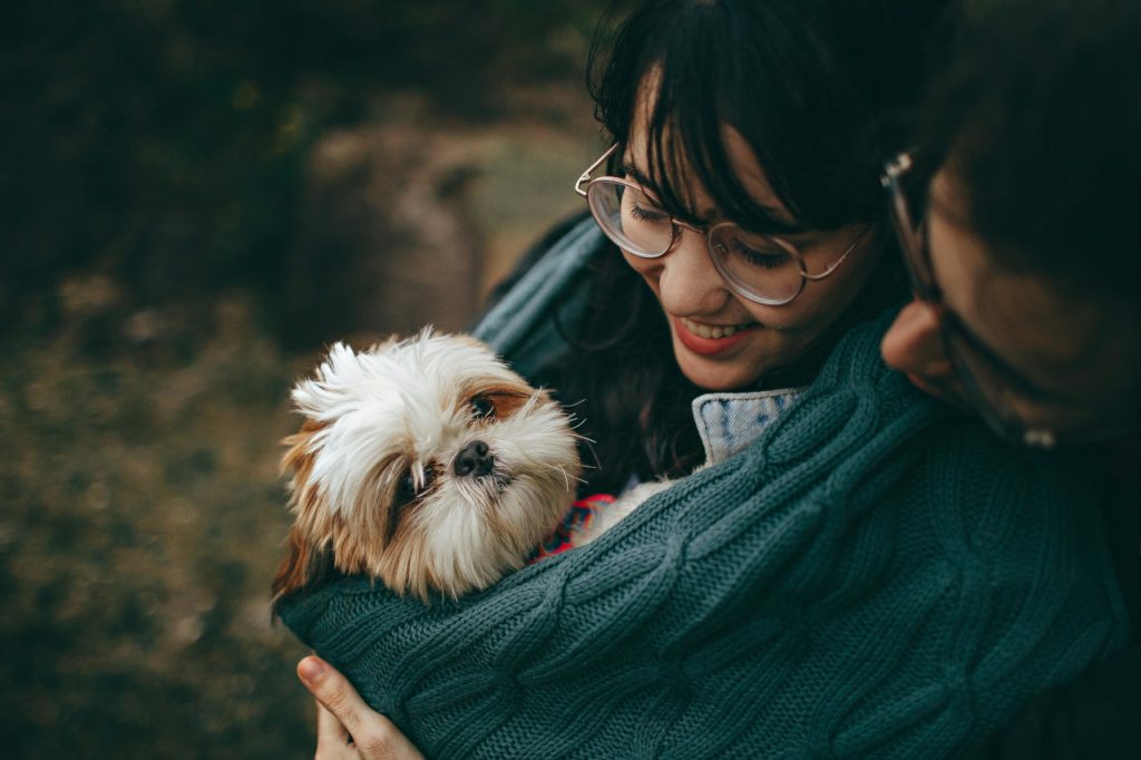 犬の家族